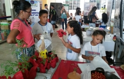 ​Fecomércio Tocantins apoia feira de incentivo ao empreendedorismo